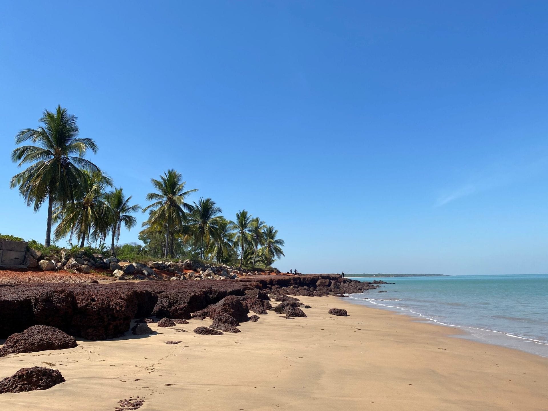 Sandy beach with scattered rocks, lined with palm trees under a clear blue sky, and calm turquoise sea in the background.