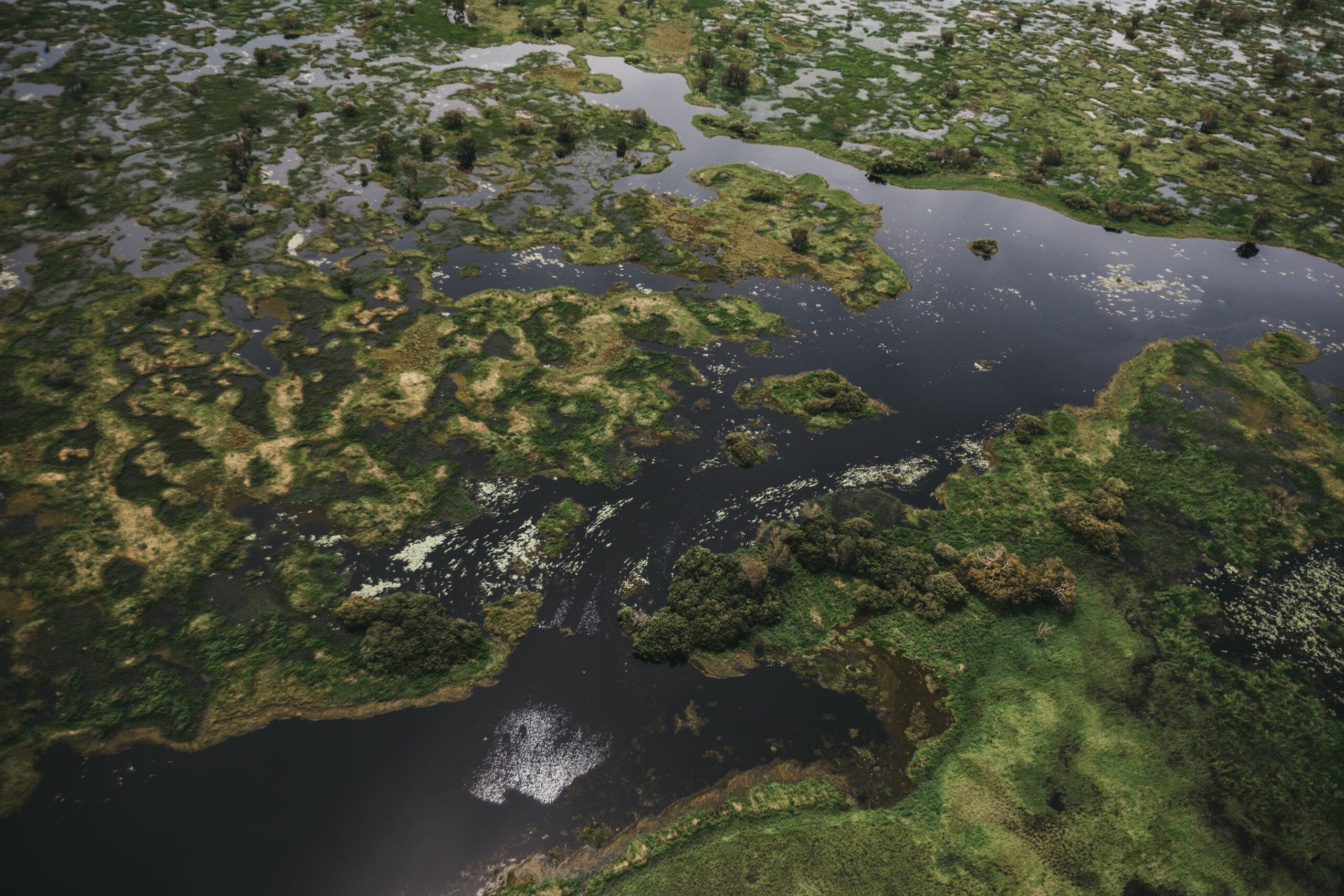 Aerial view of a lush, green wetland with winding waterways and patches of vegetation scattered across the landscape.